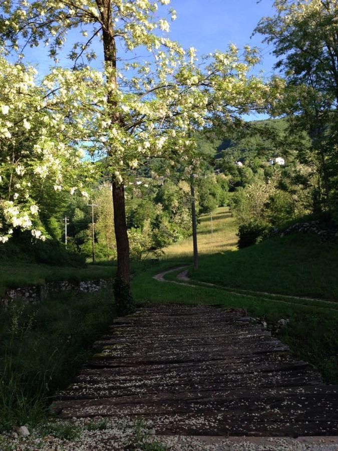 Agriturismo Fattoria Togonegro Villa Marostica Eksteriør billede