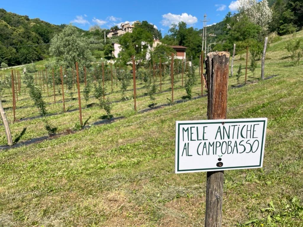 Agriturismo Fattoria Togonegro Villa Marostica Eksteriør billede